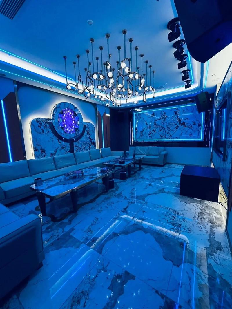 "宜春商务ktv与片场区别"-樟树市ktv预定